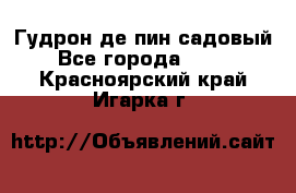 Гудрон де пин садовый - Все города  »    . Красноярский край,Игарка г.